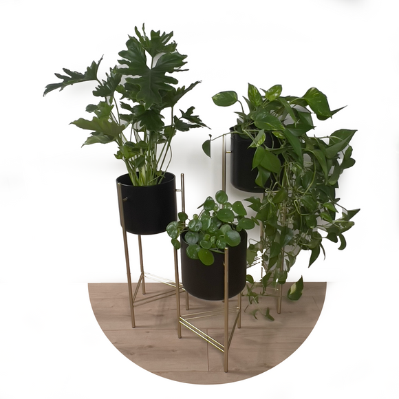 Potteskjuler på pidestall  (3 pack)