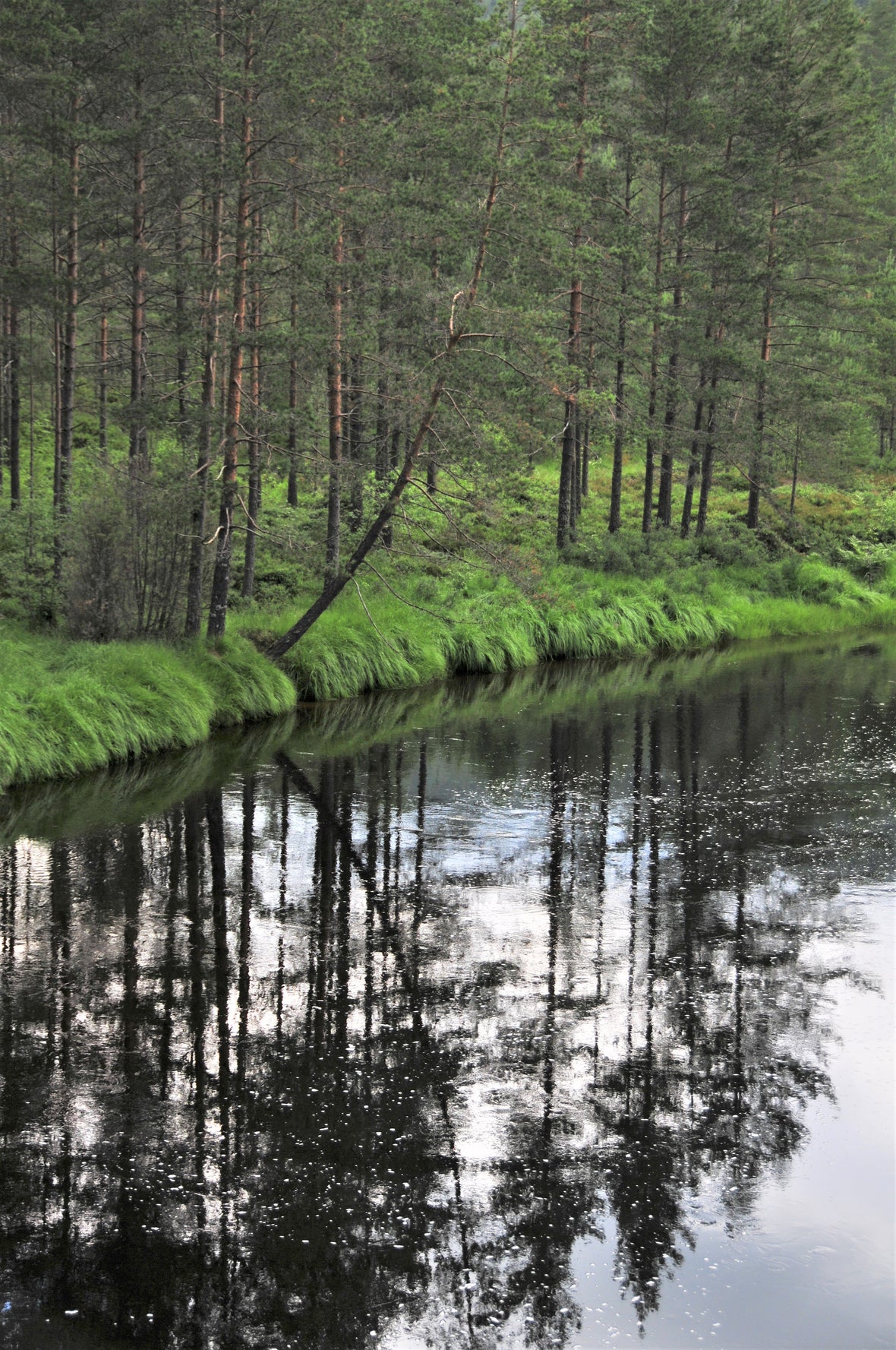 Derfor bruker vi ikke gjødsel, torv og bark.