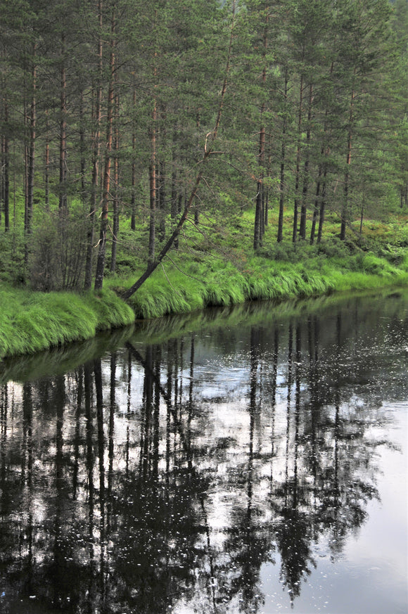 Derfor bruker vi ikke gjødsel, torv og bark.