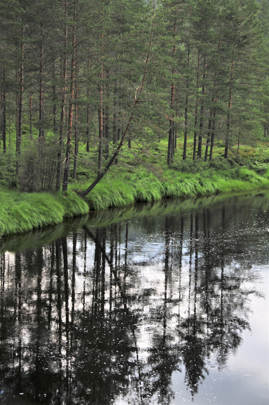 Derfor bruker vi ikke gjødsel, torv og bark.