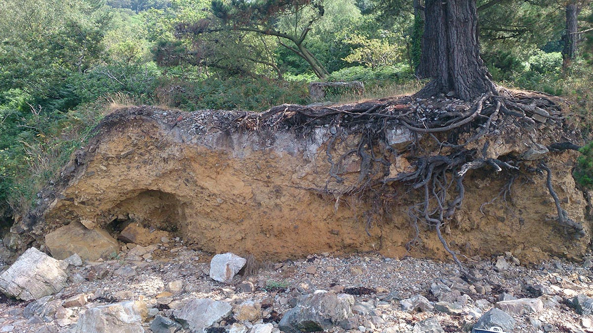 Blir pottejorden hard?