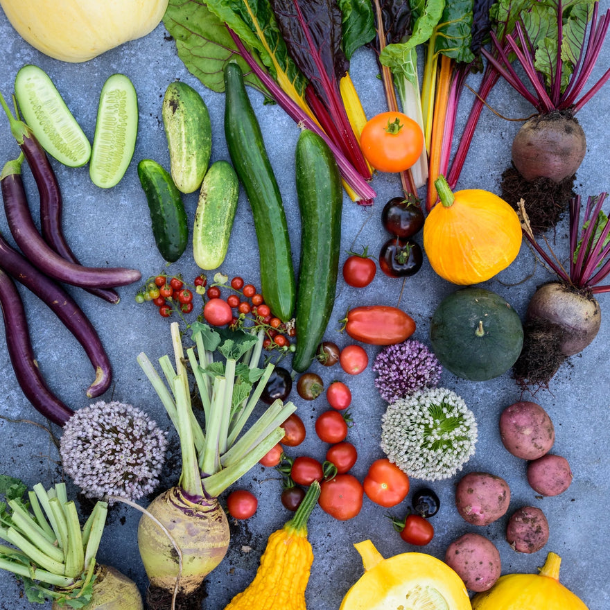 Plantevenner - companion plants