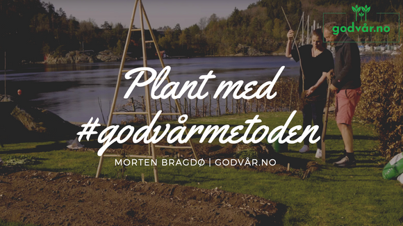 Slik planter du på #godvårmetoden