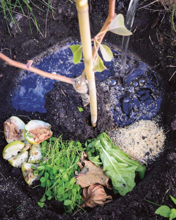 3 elementer, planter, jord og vann.