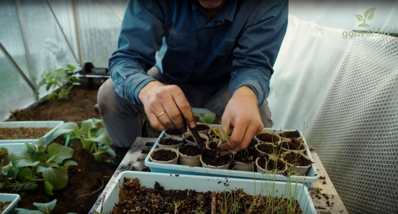 Reisen fra frø til mat