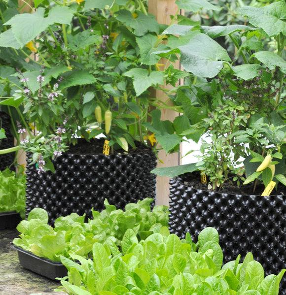 Montering og bruk av Air-pots