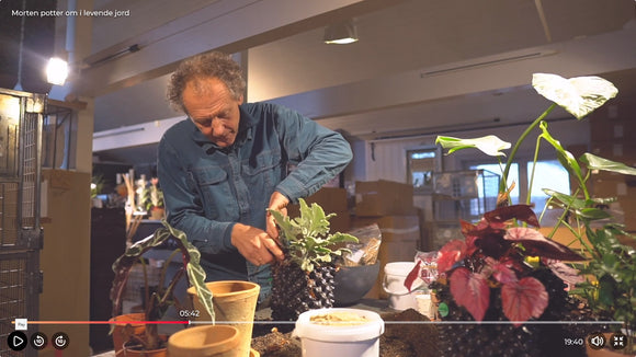 Morten potter om i levende jord