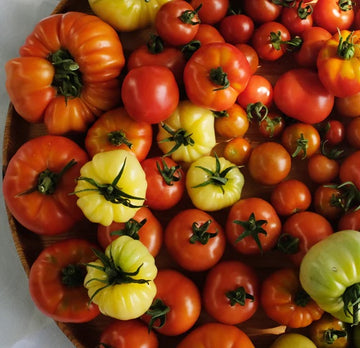 Dyrking Inne | Spiring | Potting