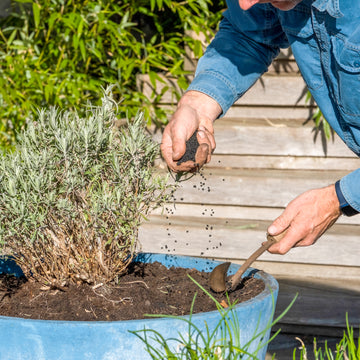 Jord og Plantenæring