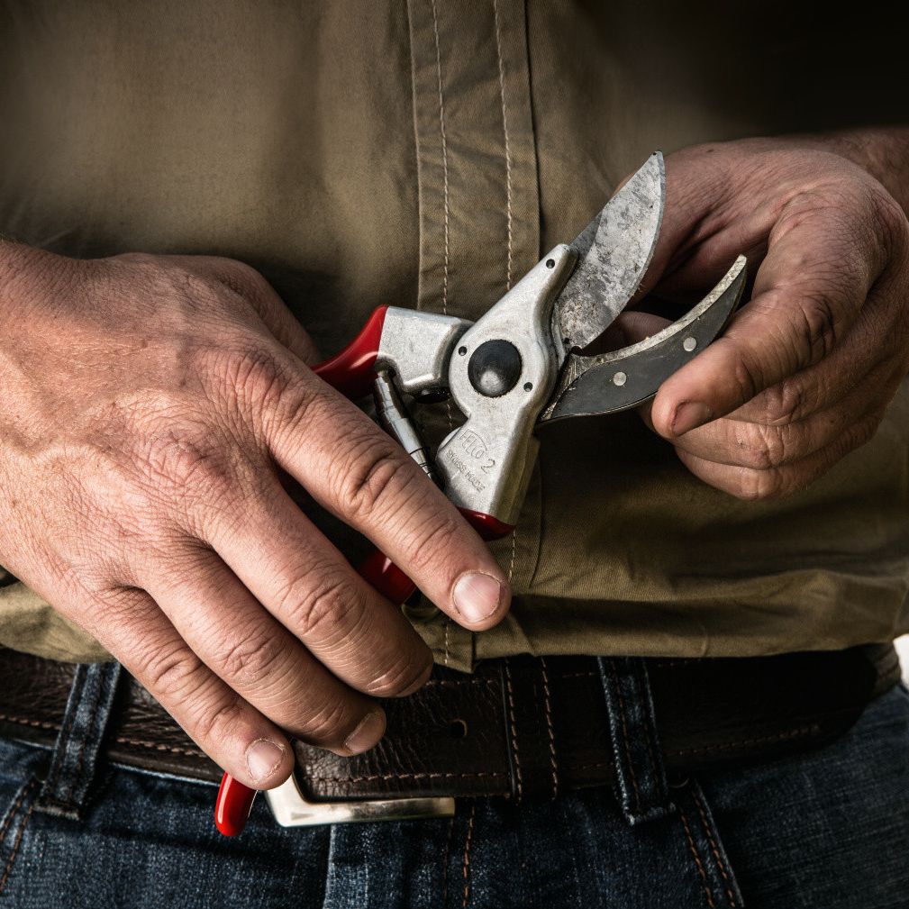 Felco hagesaks - 0