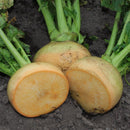 Mairoe (kålrot) - Frø-2