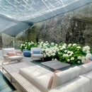 Hortensia X 'Annabelle'-1