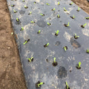 Jordbærduk kompostérbar-1