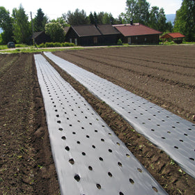 Jordbærduk kompostérbar - 0