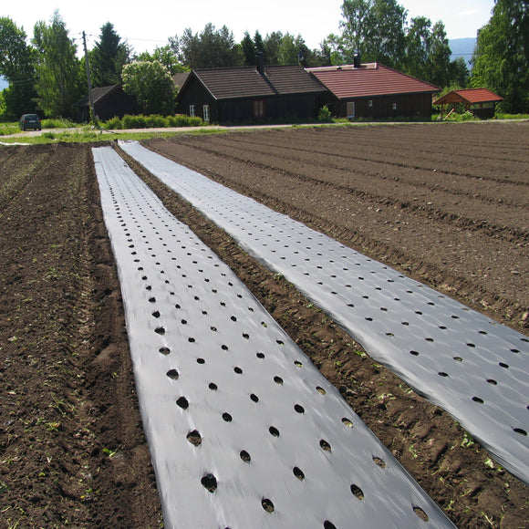 Jordbærduk kompostérbar