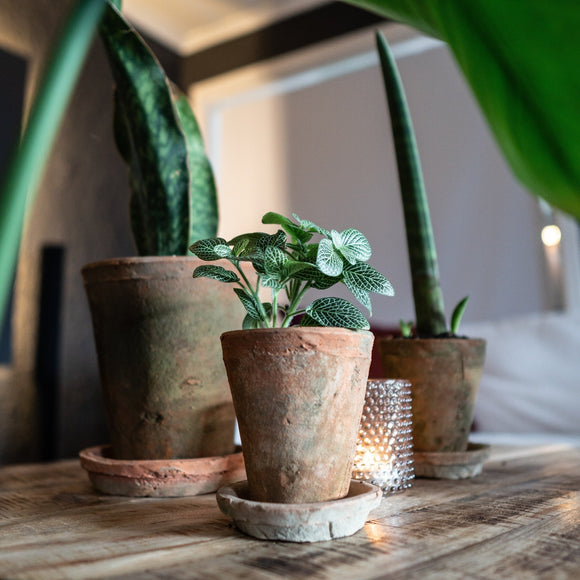 Terracotta Antikk Høy