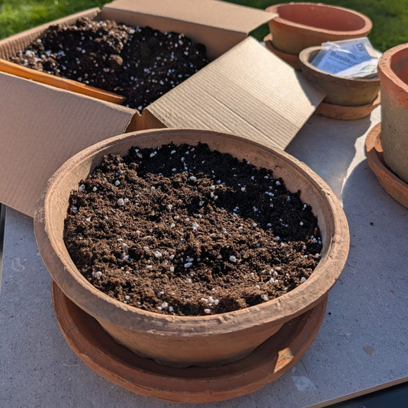 Terracotta Antikk Lav 4 stk sett