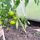 Ø - kompost - 30 pakk-5