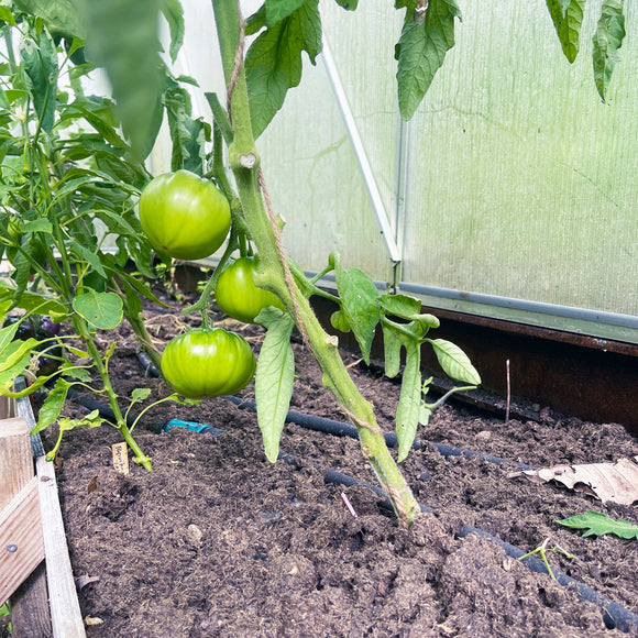 Ø - kompost - 30 pakk