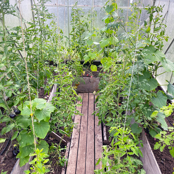 Ø - kompost - 30 pakk