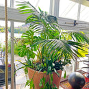 Ø - kompost - 30 pakk-7