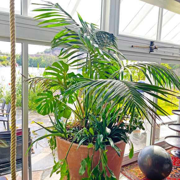 Ø - kompost - 30 pakk