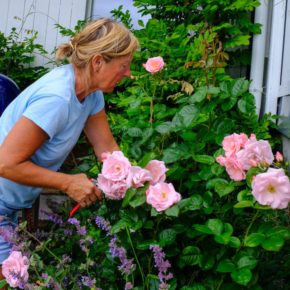 Rose Astrid Lindgren