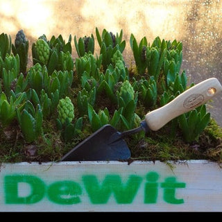 Plantespade DeWit