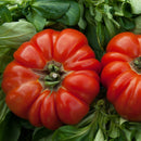 Tomat Biff - Frø-2
