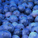 Amerikanske blåbær er vidunderlig på smak og bærer enormt store blåbær på store busker. De er superenkle å dyrke og bærer veldig sunne bær. De er supre å fryse og ta frem til kaker og smoothies. North Country er samtidig en veldig god bunndekker.