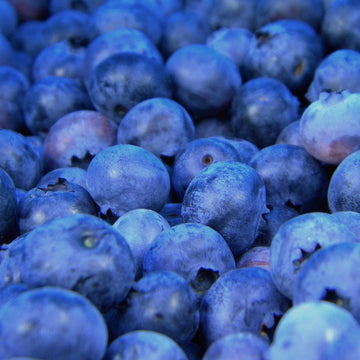 Amerikanske blåbær er vidunderlig på smak og bærer enormt store blåbær på store busker. De er superenkle å dyrke og bærer veldig sunne bær. De er supre å fryse og ta frem til kaker og smoothies. North Country er samtidig en veldig god bunndekker.