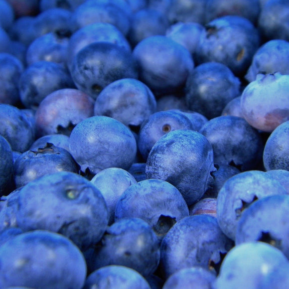 Amerikanske blåbær er vidunderlig på smak og bærer enormt store blåbær på store busker. De er superenkle å dyrke og bærer veldig sunne bær. De er supre å fryse og ta frem til kaker og smoothies. North Country er samtidig en veldig god bunndekker.