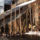 Bringebær Glen Ample