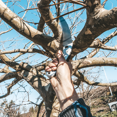 Buet beskjæringssag