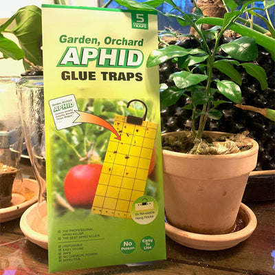 Fluepapir 3 stk x 5-PAKK | 50% TILBUD !