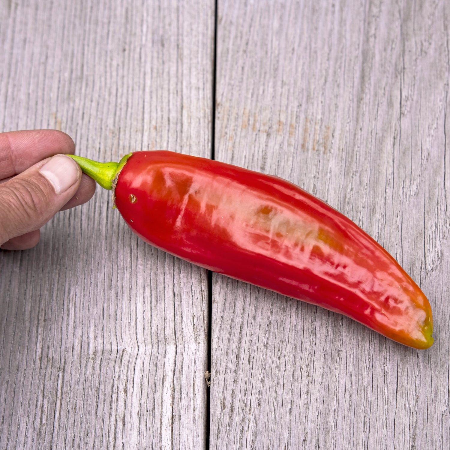 Paprika