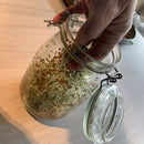 Alafalfa - Spirer. Med denne frøpakken kan du smøre mange lekre sandwich og nistepakker.