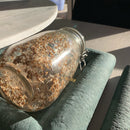 Alafalfa - Spirer. Med denne frøpakken kan du smøre mange lekre sandwich og nistepakker.