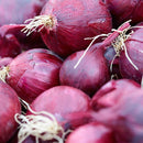 Rødløk 