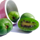 Minikiwi Hunn 'Geneva'